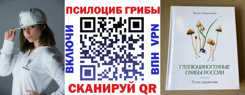 продажа наркотиков  Бирск  Галлюциногенные грибы Psilocybe 